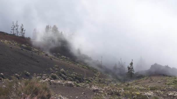 Niebla en Tenerife montañas — Vídeo de stock
