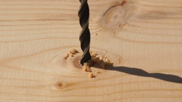 Taladro de madera en el trabajo — Vídeos de Stock