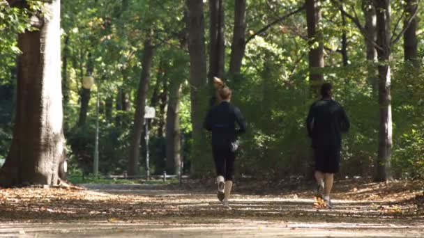 Férfi és nő fut park — Stock videók