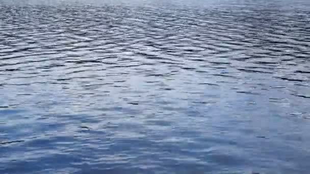 Ondulations d'eau — Video