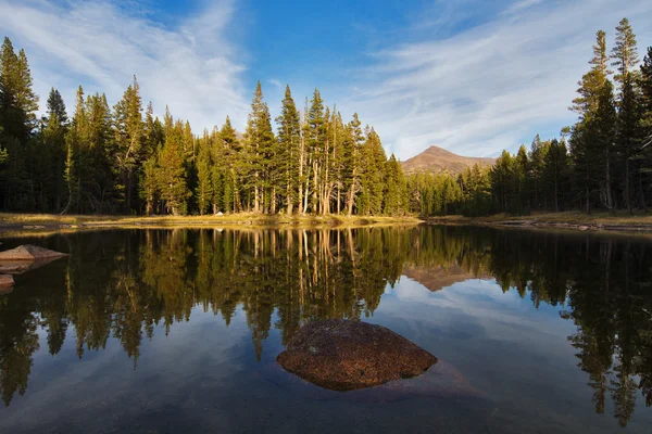 Yosemite Milli Parkı içinde küçük bir göl — Stok fotoğraf