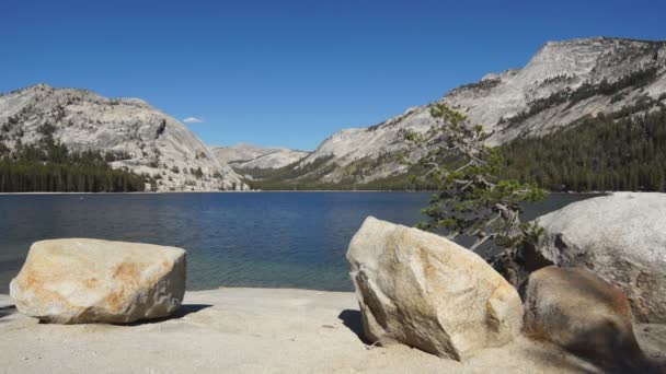 Lago Tenaya — Vídeo de stock