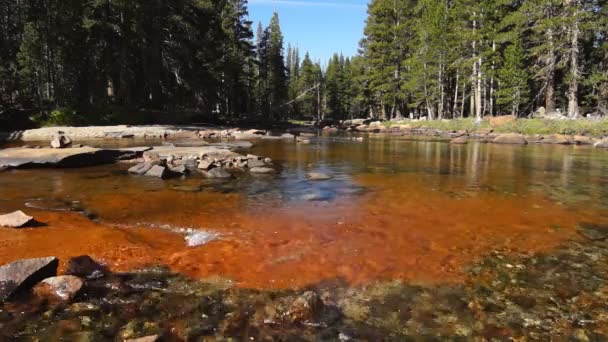 Torrente con torrente veloce — Video Stock