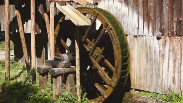 Watermill wheel — Stock Video