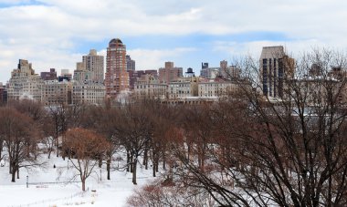 New York'un manhattan central park panorama kış