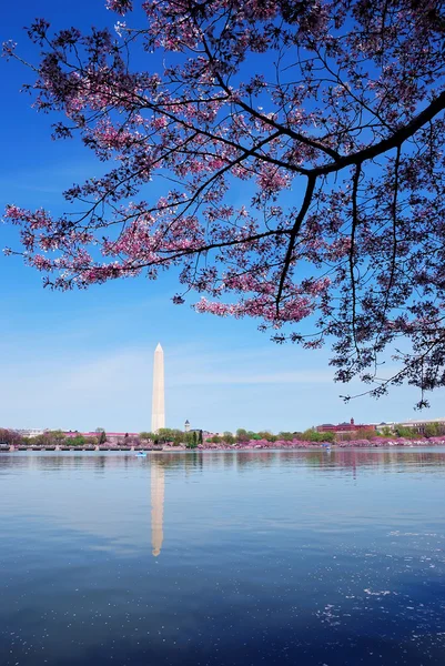 Washington DC — Fotografia de Stock