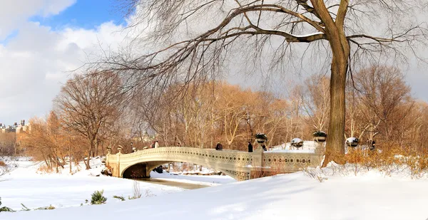 New York Manhattan Central Park panorama en hiver — Photo