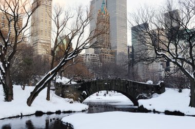 New York'un manhattan central park panorama