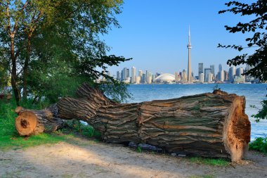 Parktan Toronto silueti