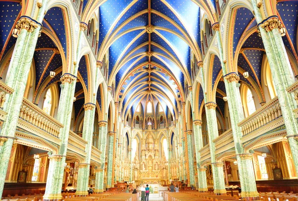 Basílica de Ottawa Notre Dame —  Fotos de Stock