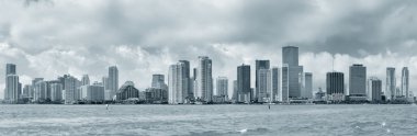 Miami siyah ve beyaz