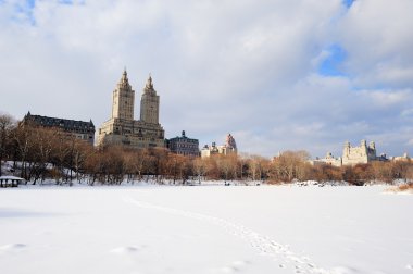 New York'un manhattan central Park'ta kış