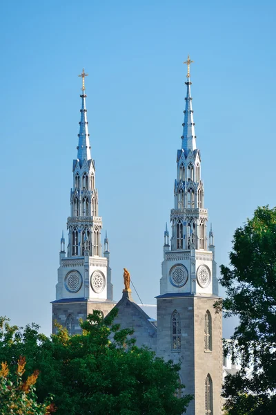 Notre Dame Basilica — Stok fotoğraf