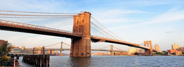 Brooklyn Köprüsü panorama — Stok fotoğraf