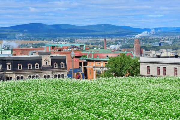 Quebec City View — Stock fotografie