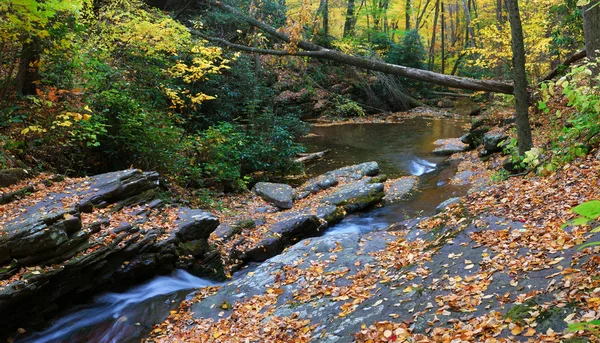 Осенний ручей на скалах — стоковое фото