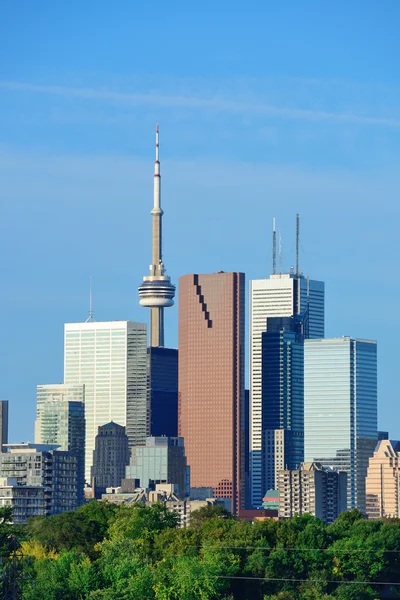 Toronto skyline sobre parque com edifícios urbanos e céu azul — Fotografia de Stock