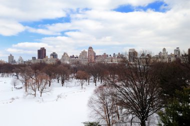 New York'un manhattan central Park'ta kış