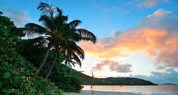 Beach sunset panorama — Stock Photo, Image
