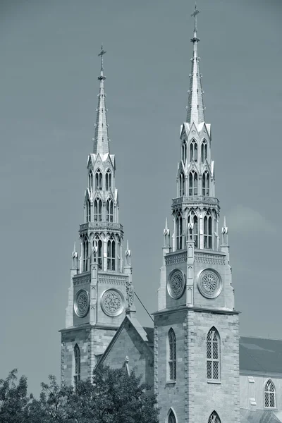 Ottawa notre dame-basilikan — Stockfoto
