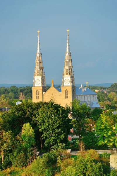 Ottawa basiliek van notre dame — Stockfoto