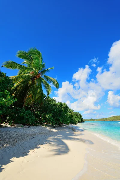 Panenské ostrovy beach — Stock fotografie