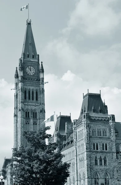 Ottawa parlamentsbyggnaden hill — Stockfoto