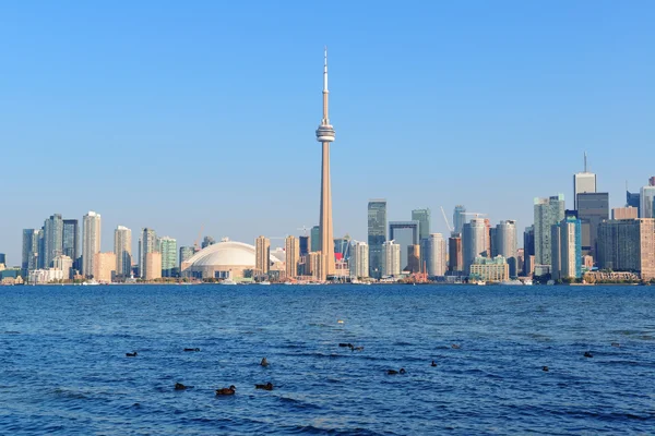 Toronto skyline in de dag — Stockfoto