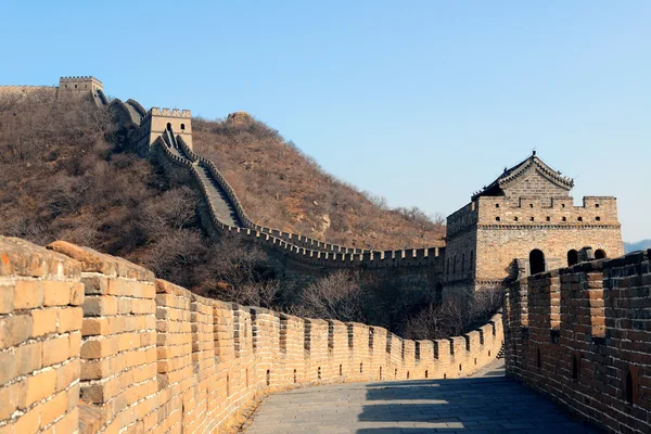 Great Wall in the morning — Stock Photo, Image