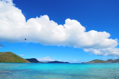 Virgin Adaları beach
