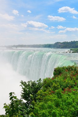 Horseshoe Falls
