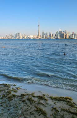 Gündüz Toronto manzarası
