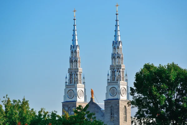 Ottawa Notre Dame Basilica — Stok fotoğraf