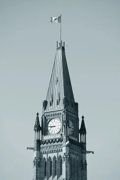Ottawa Parlementsgebouw hill — Stockfoto