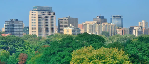 Toronto city skyline — Stock Photo, Image