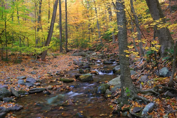 Autumn creek with rocks — Stock Photo, Image