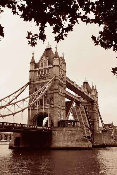 Tower Bridge au Royaume-Uni — Photo