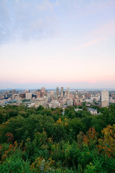 Montreal şehir manzarası — Stok fotoğraf