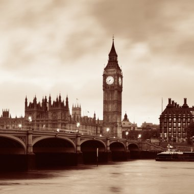 House, Parlamento