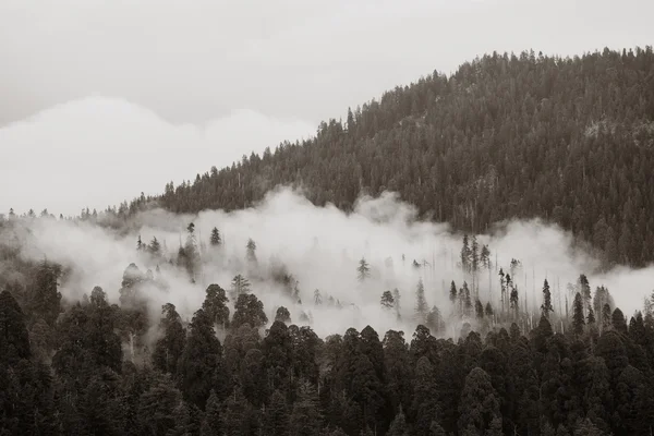 Montagne avec brouillard — Photo