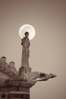Pisa İtalya 'da Piazza dei Miracoli' de ay olan katedralin çatısında heykel.