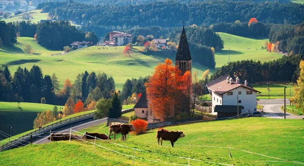 Dorfgebäude Den Dolomiten Norditalien — Stockfoto