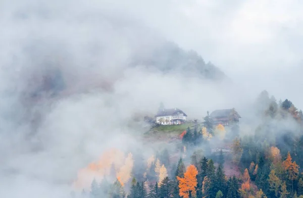 Dolomity Krajobraz Naturalny Jesiennymi Kolorami Mgle Północnych Włoszech — Zdjęcie stockowe
