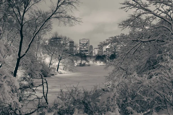 Central Park Winter Midtown Manhattan New York City — Stockfoto