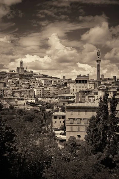 Medeltida Staden Siena Skyline Utsikt Med Historiska Byggnader Och Rådhuset — Stockfoto