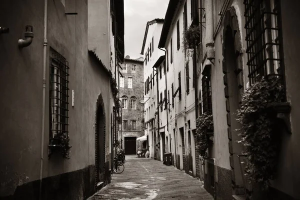 Lucca Street View Italy — Stock Photo, Image