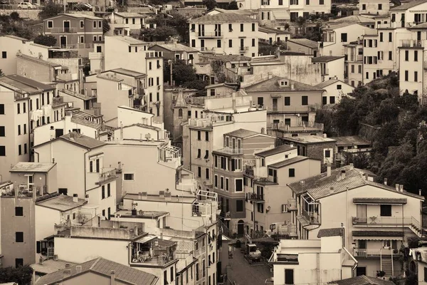 チンクエ テッレ イタリアの山から見たリオマッジョーレ通り — ストック写真
