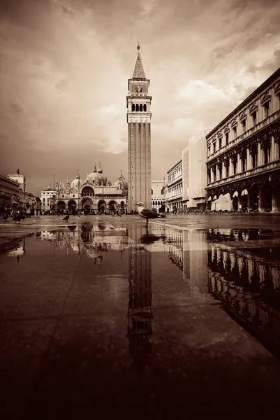 Torre Sino Edifícios Históricos Reflexão Piazza San Marco Veneza Itália — Fotografia de Stock