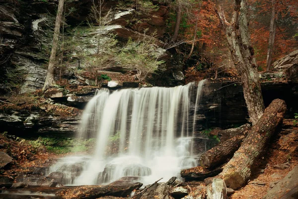 秋天的瀑布落在绿叶斑斓的公园里 — 图库照片