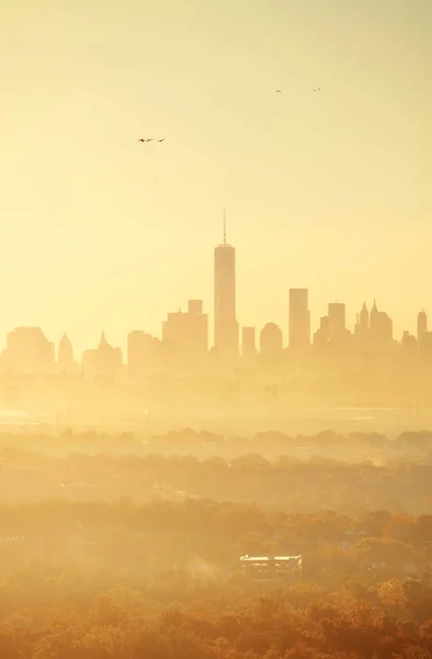 Silueta Salida Del Sol Centro Nueva York Con Pájaros Vistos — Foto de Stock